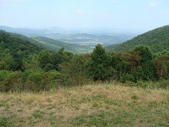 Jenkins Gap Overlook