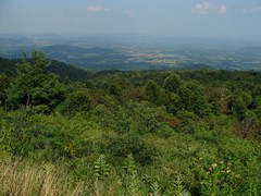 Hogwallow Flats Overlook