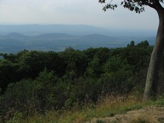 018 Browntown Valley Overlook View