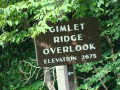 Gimlet Ridge Overlook