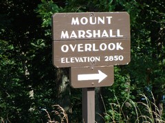 Mount Marshall Overlook