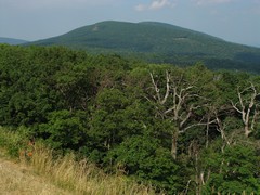 Mount Marshall Overlook