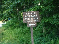 Little Hogback Overlook