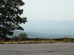 Jeremys Run Overlook