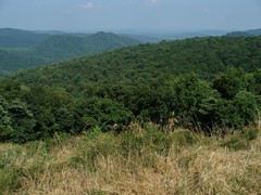 Thorton Hollow Overlook