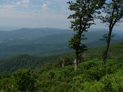 Jewel Hollow Overlook