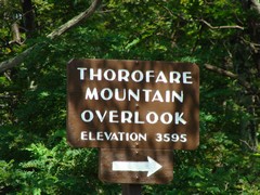 Thorofare Mountain Overlook