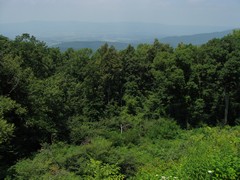 Hensley Hollow Overlook
