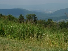 Swift Run Overlook
