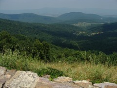 Sandy Bottom Overlook