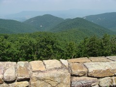 Two Mile Run Overlook