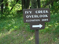 Ivy Creek Overlook