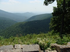 Ivy Creek Overlook