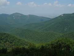 Rockytop Overlook