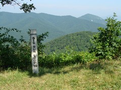 Big Run Overlook