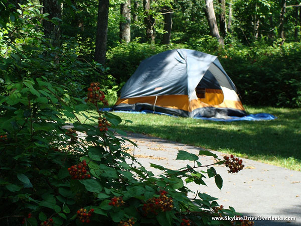 skyline-drive-campgrounds