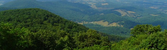 Top 5 Best Overlooks on the Skyline Drive